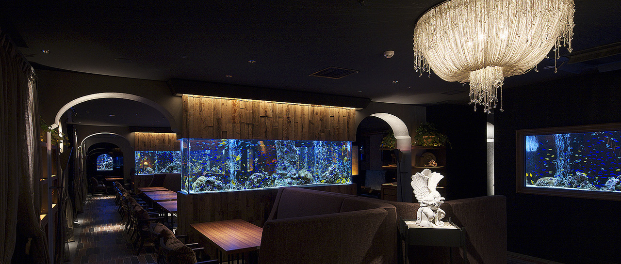 アクアリウム 魚イタリアン ライム心斎橋 大阪府 レストラン情報 Tablecheck アクアリウム 魚イタリアン ライム心斎橋 大阪府 レストラン情報 Tablecheck