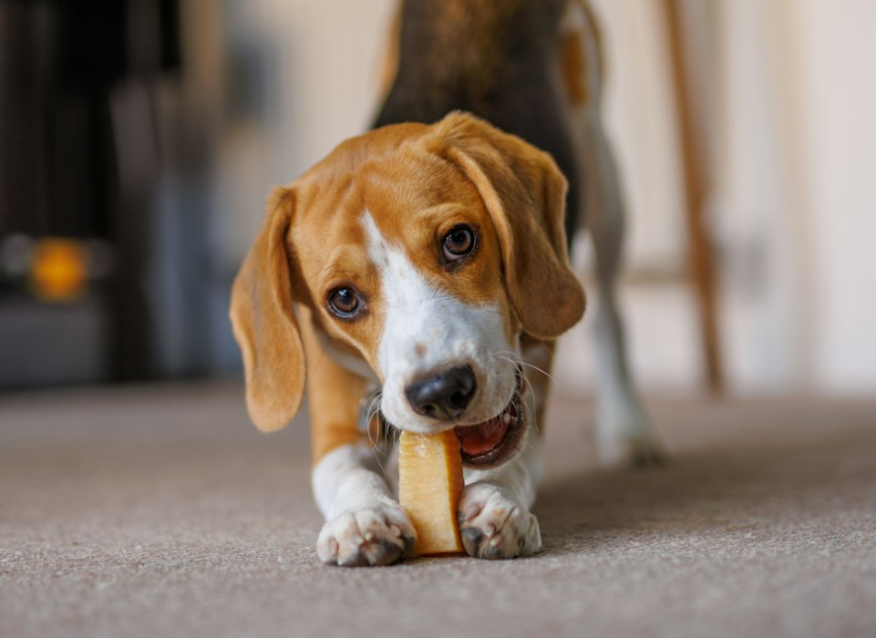 8c48c744.png?1739786745