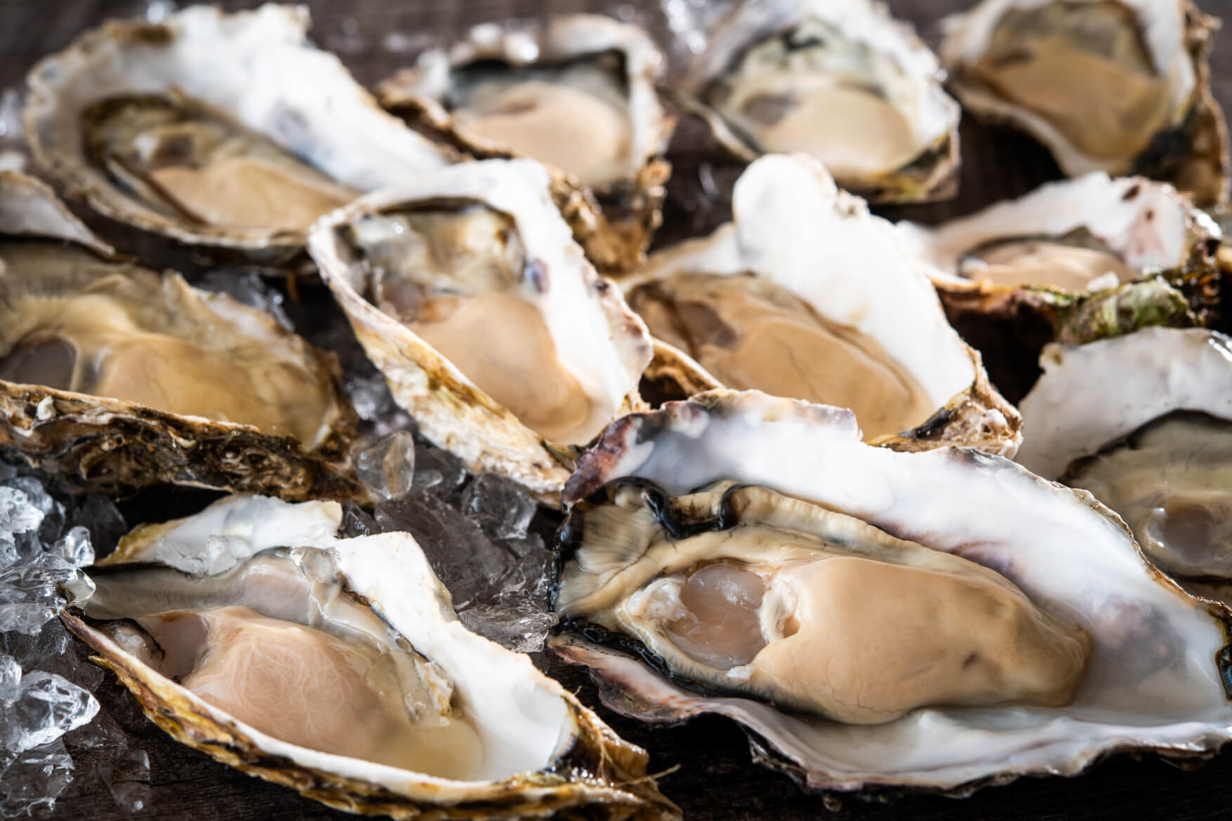 HAKODATE OYSTERS 1854 / ホテルマイステイズ函館駅前の施設画像1