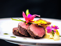 Visa program Special menu