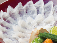 天然活〆真クエうす造り入り　『天然クエちり鍋コース』