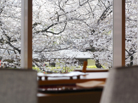 唯一無二の鮨コース「選べるおまかせ」ランチ　15,000円（鮨カウンター）