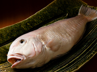 SPコース        100000円（カウンター）