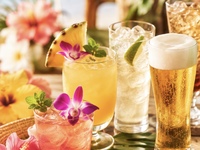 【人気アロハカクテルも満喫♪】お料理アラカルト☆2時間飲み放題☆