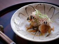 【Lunch Course – 7dishes】TEKI - Course with a Choice of Main Dish