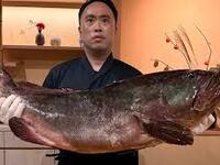 おまかせコース（夜）