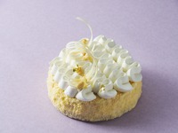 4/1～Cheese Cake 15cm