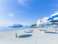 【7/1～8/31限定 海水浴＆ランチ日帰りプラン】郷土料理バイキング「阿波三昧」（大人）