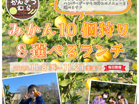 ★みかん10個狩り&ランチビュッフェ