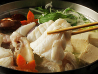 【クエ鍋Bコース】長崎直送の活〆天然"真クエ"を使用したお鍋と唐揚げなどをお楽しみいただけます！