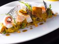 【平日限定】魚料理も肉料理も楽しめる全4品のプリフィックスコース