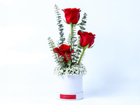 3PC Ecuadorian Rose - Special Box