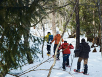 Woodland Snowshoe Hike