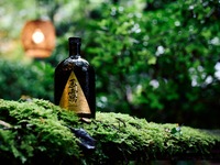 銀座 kappou ukai ”肉匠”・グランドコース＋【ディナー】茶の魅力を愉しむコース～Bottled Tea の流儀～付き