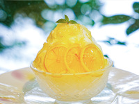 ［8月1日～8月31日］対い鶴のかき氷　～はちみつ檸檬ヨーグルト～
