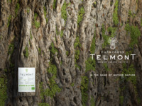 【February 26】TELMONT × CHINA SHADOW Dinner