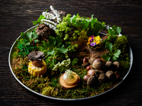 Mulai 1 Disember <Makan Tengahari> Kursus omakase 7 hidangan standard menggunakan bahan bermusim