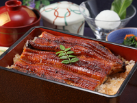 Grilled eel on rice (domestic)