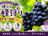 ★種なし巨峰狩り（40分食べ放題プラン）【土日祝】