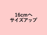 桃のタルト16cmにサイズアップ(+2220円)