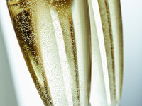 アルコール飲み放題120分制（おとな）