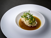 【Dinner】"Elegant" course