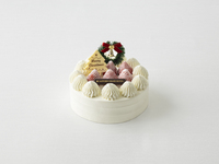 【一般】　クリスマスデコレーション（5号）　【カード決済用】