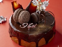 Xmasショコラ5号(約15cm)