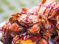 ◆Kikuka◆ Shanghai Crab Tasting Course