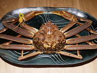 Echizen Crab “Imperial Presentation Crab” (1.3 kg or more) — Full-course (price subject to change based on purchase cost; market price)