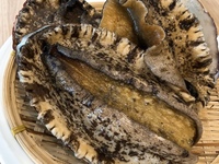 【활! 전복과 브랜드 와규 스테이크의 코스】전 8품