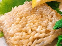 【海鮮コース】魚料理のみ 全8品