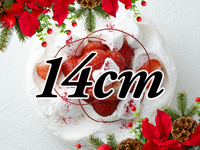 【16時〜17時のお受け取り】ジャポネ・ノエル(14cm)