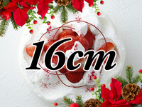 [Receipt from 16:00 to 17:00] Japonais Noel (16cm)