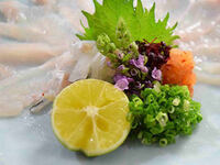 [In-store seating] Blowfish hotpot course, 7 dishes
