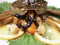 10月16日解禁！中華の旬が到来【上海蟹】