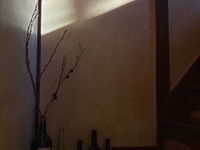 Lunch Menu + Alcohol Pairing 2026/8/1