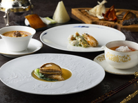 【特別コース 鳳凰】高級食材を使用した全9品【料理長渾身の本格四川料理】