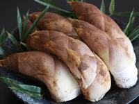 【春の極コース】　38,500円