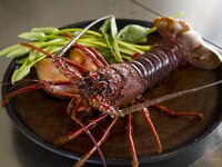 【シーフードメニュー】珊瑚コース