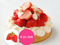 [Receipt from 15:00 to 16:00] Strawberry tart fromage (14 cm)