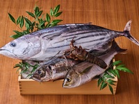 Limited to May and June: Spiny lobster, grunt, bonito, and horse mackerel - Seasonal recommendations for early summer