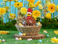 Easter Chicken Chocolate Figurine