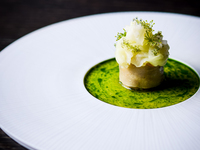 <ランチ> 季節の厳選食材を用いた10皿前後のおまかせコース（ディナーコースと同じ内容になります）