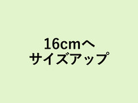 Size up to 16 cm peach tart (+2360yen)