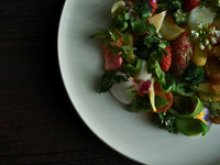 《QUEUE DE LAPIN》쿠드 라판