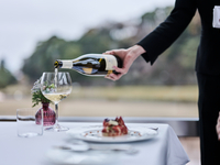 5 glasses of premium wine pairings