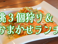 ★ Picking 3 peaches & Café Omakase lunch