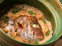 ＜お料理おまかせコース＞ 11,000円コース