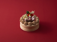 【グランビレッジ会員様】　クリスマスデコレーションチョコレート（5号）　9月早期割引　【銀行振込決済用】